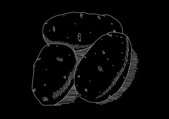 White potato on black background