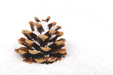 Single fir cone in the snow.  Christmas themed image. 