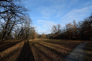 Obraz premium Landscape