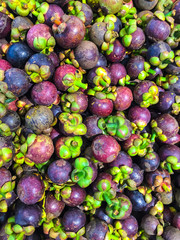 mangosteen