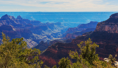 Fototapeta na wymiar Great view of Grand Canyon from North Rim, Arizona, United State