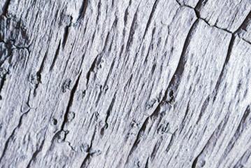 Rough and grungy timber texture closeup