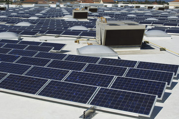 Array of photovoltaic cells at solar power plant