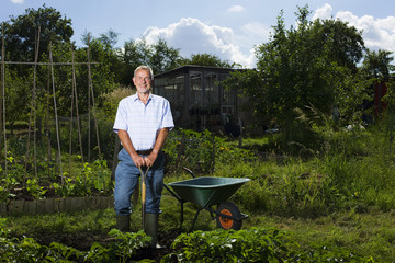 Portrait of happy senior man gardening in allotment