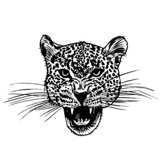 Leopard face tattoo ,Vector illustration, print