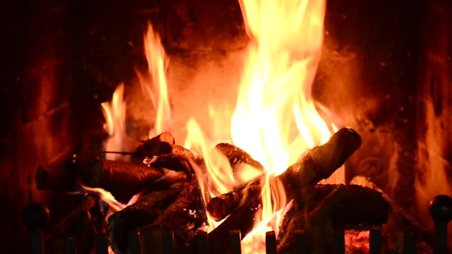 Burning logs of wood in fireplace. Burning fireplace.

