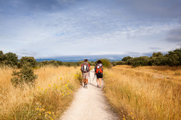 Pilgrimns along the way of St. James