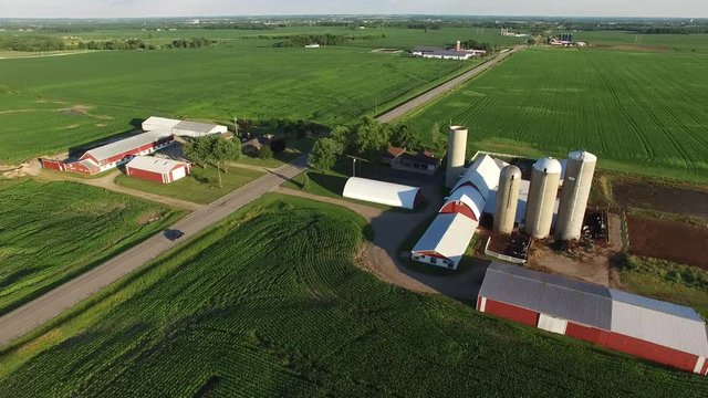 Beautiful red barns and silos of Wisconsin amid vast fields of corn, aerial view.
