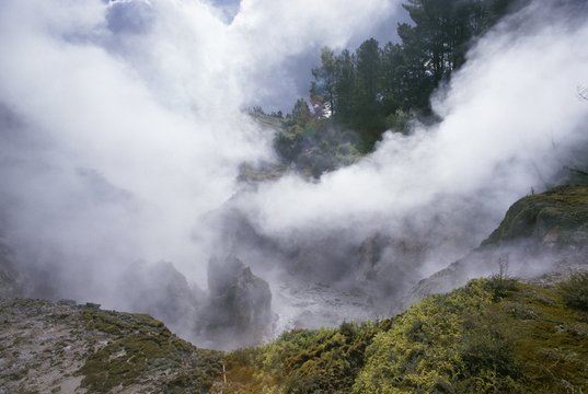 Thermal activity, Karapiti area, Taupo, South Auckland, North Island, New Zealand