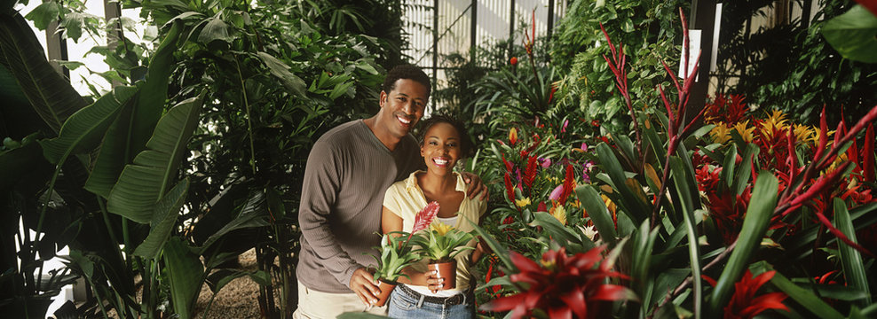Portrait of a happy African American couple with flower pot in greenhouse - Powered by Adobe