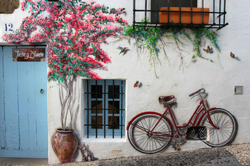 Cute background with street art on the white wall: bicycle, kitten and flowers. 