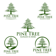 pine tree, oak, tree, leaf. logo design