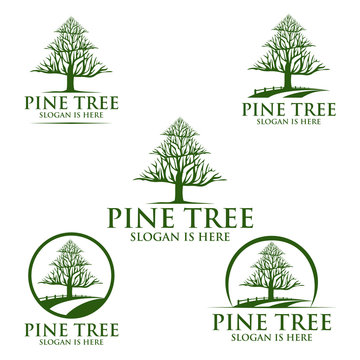 pine tree, oak, tree, leaf. logo design