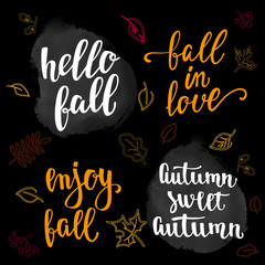 Fall handwritten brush calligraphy quote and autumn motives. Lettering and decorative leaves.