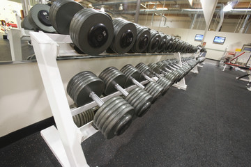 Fototapeta na wymiar Shot of weight training equipment in a row at the gym