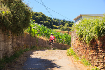 Fototapeta premium Pilgrimn biker along the way of St. James