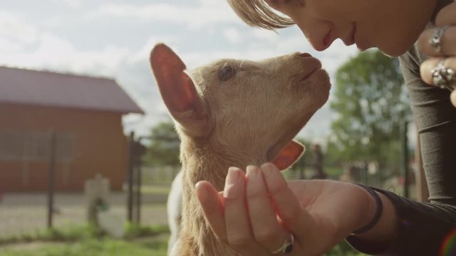 Close up cheerful girl petting adorable little kid goat looking for attention