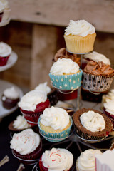Circus Themed Wedding Cupcakes
