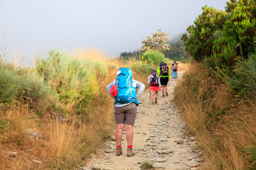 Pilgrimns along the way of St. James