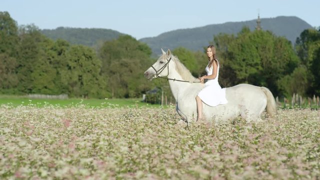 SLOW MOTION: Beautiful innocent girl riding white horse in pink flowering field