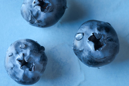 Blueberries on a Blue Background