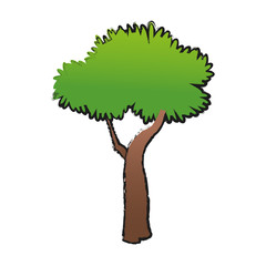 Tree icon. Nature plant environment and spring theme. Isolated design. Vector illustration