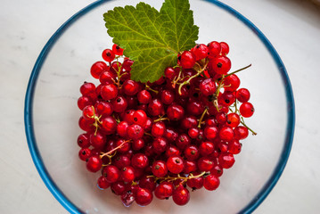 Red currant berry background