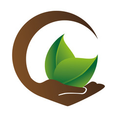 leafs plant ecology icon vector illustration design