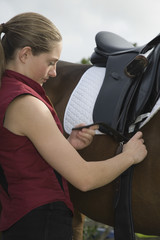 Side view of a young woman tightening saddle on horse outdoors