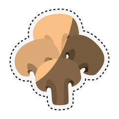 mushroom ingredient isolated icon vector illustration design