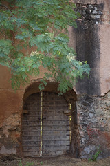 Rajasthan India door in wall