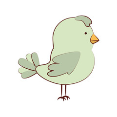 cute bird decorative card vector illustration design