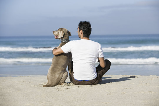 Rear view of a man and dog sitting on beach