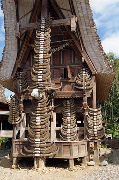 Toraja house, Toraja area, Sulawesi, Indonesia
