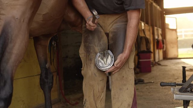 CLOSE UP: Unrecognizable skillful farrier gently tapping nailhead in horse hoof