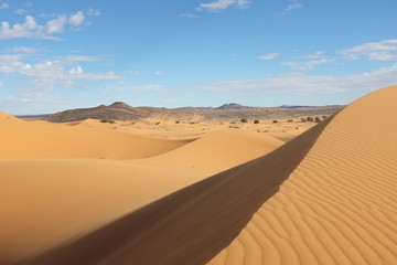 Fototapeta na wymiar Sahara Desert Landscape with Dunes and Mountains in Morocco