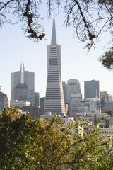 The Transamerica Pyramid, the tallest skyscraper in San Francisco, California, USA