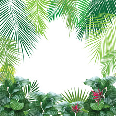 Fototapeta na wymiar Tropical jungle background with palm tree and leaves. 