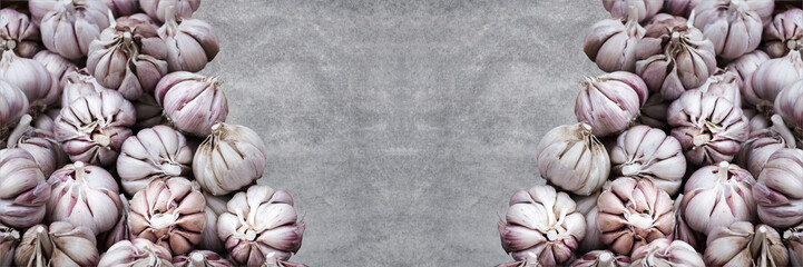 Garlic bulbs bulk. Selective focus. Wide panoramic image. Copy space.