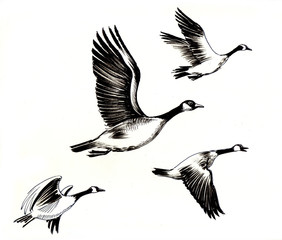 Flying Geese