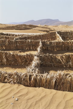 Barriers of palm leaves to control sand, to stop it from drifting onto road, near Tinejdad, Morocco