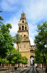 Huge patio of the Mosque-Cathedral in Cordoba © OlegMit
