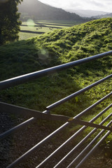 Metal gate on field Yorkshire Dales Yorkshire England