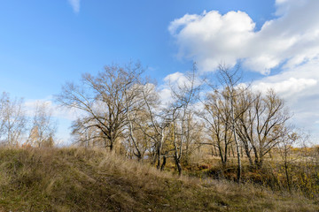 Fototapeta premium Jesienne drzewa w pobliżu rzeki Dniepr