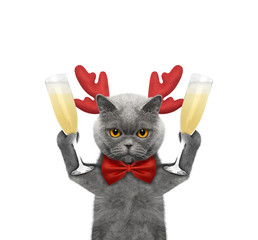 Cute cat in reindeer antlers with a glass of champagne