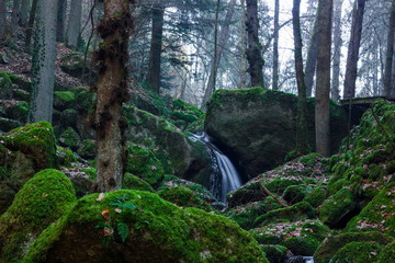 Winter creek in Austria