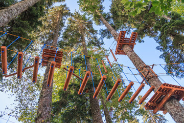 Rope adventure park in a summer forest scenic view