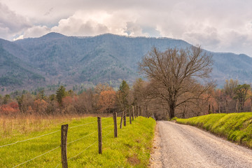 Sparks Lane in Early Spring