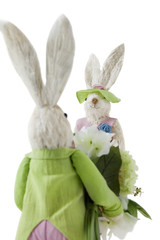 Back view of Bunny with flower bouquet approaching female Rabbit over white background
