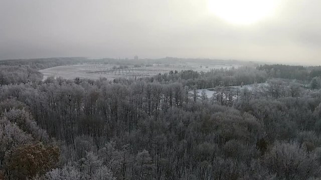 Aerial view of winter forest with snow on the trees